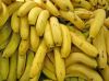 Brazilian Companies Make Bid for Chiquita for $610 Million