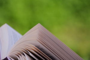 Penguin Group E-Books Cut From Libraries, Amazon Online Lending Program