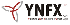 Polyester Chain Report 2012