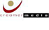 Creamer Media`s Coal Roundup (for December 2011/January 2012)