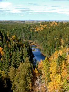 Happy 100 Years Parks Canada!