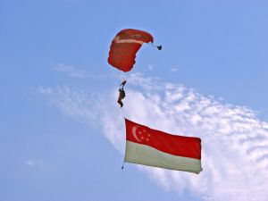 Cyber Campaigning: Singapore Election Goes Social