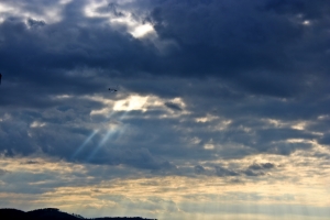 Swiss Take off in First Solar Flight