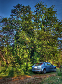 Ford Stops Sales of 2015 Edge Crossover Due to Leak
