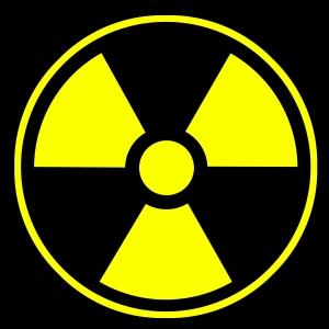 Ukraine Marks 25th Anniversary of Chernobyl Nuclear Power Disaster