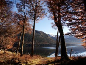 Five Hydroelectric Dams Confirmed For Chile