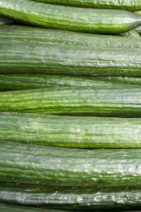 Germany Searches for Origin of Deadly E. Coli Outbreak