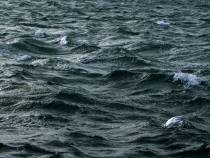 BP Returns to Gulf Spill Site