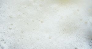 Oil Giants BP & DSM Invest in Verdezyne Biofuel