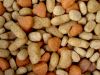 Sector Snapshot: Pet Products Market in the USA
