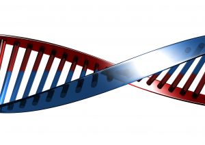Study: Stem Cell Therapy Success In Repairing Heart Attack Damage