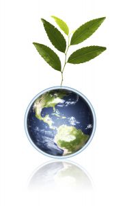 EPA Recognizes Leading Energy Efficient Cities in the US