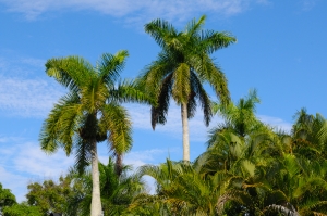 Florida: Sunshine State’s Tourism Market Brighter Than Ever