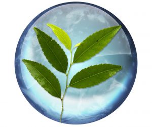 Australian Climate Commission Calls for 2020 Emissions Plan